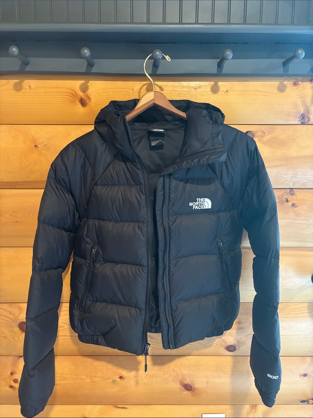 The North Face Hydrenalite Down Hoodie